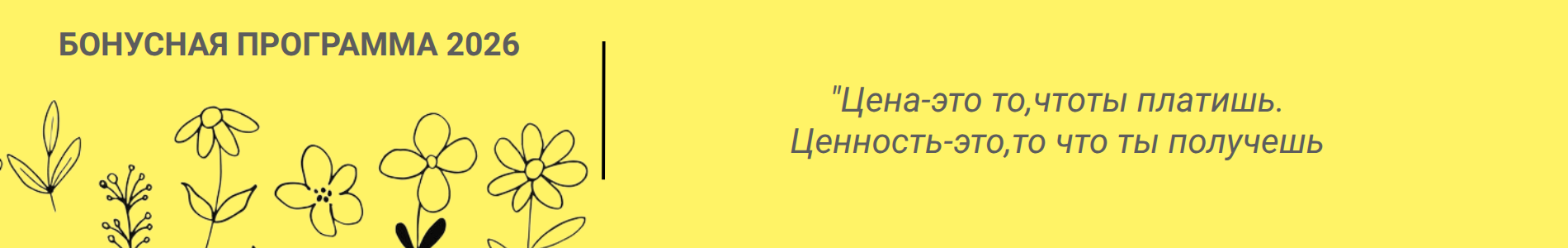 Бонусная программа 2026