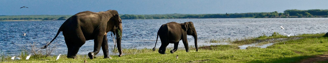 Национальные парки Шри-Ланки